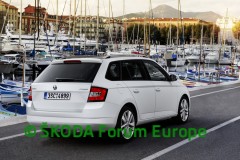 FaC_exterior_013-SkodaForumEurope.jpg